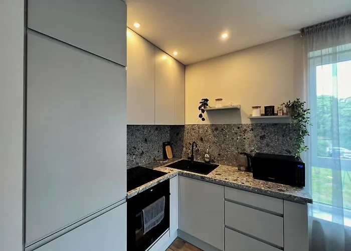 Cozy Family Near The Old Town Apartment Klaipeda